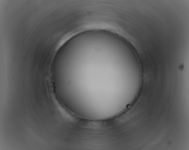 X0000093091521200710101506