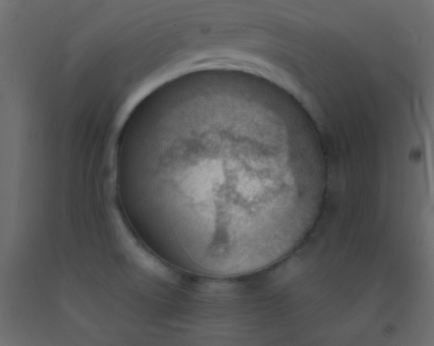 X0000093091522200710101506