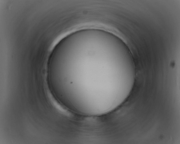 X0000093091523200710101506