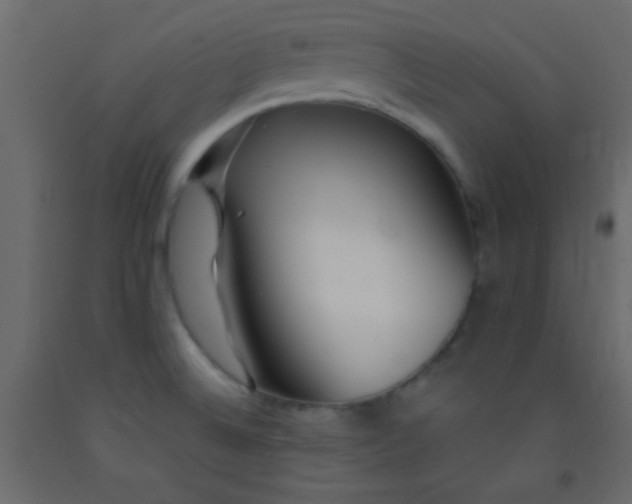 X0000093091524200710101506