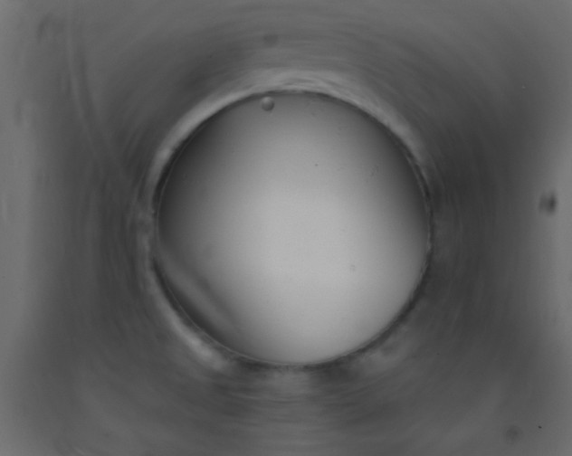 X0000093091525200710101506