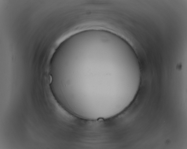 X0000093091526200710101506