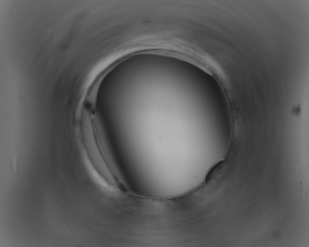 X0000093091528200710101506