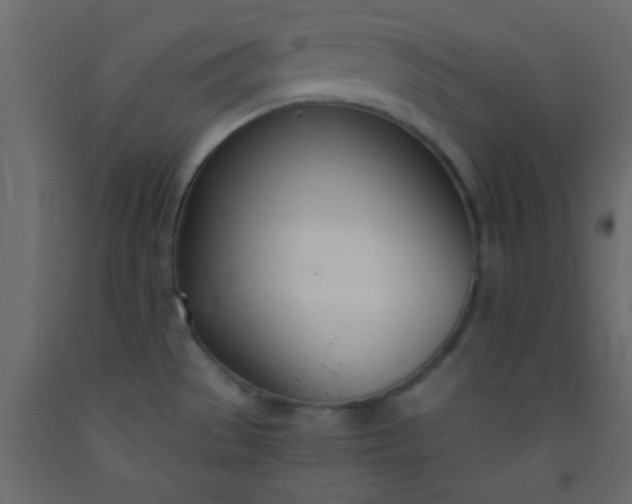 X0000093091529200710101506