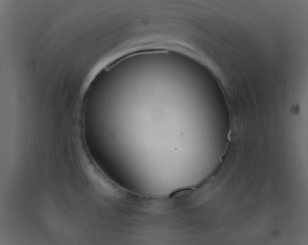 X0000093091530200710101506