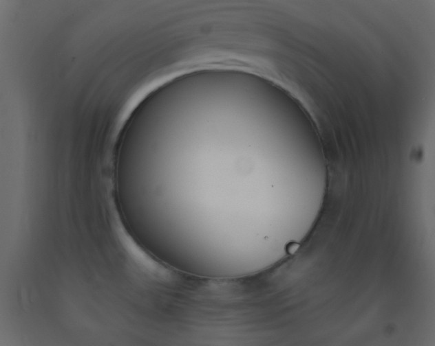 X0000093091531200710101506