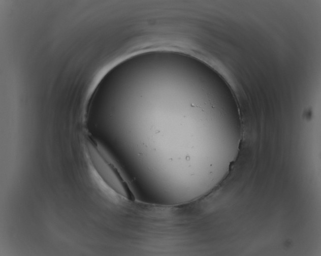 X0000093091532200710101506