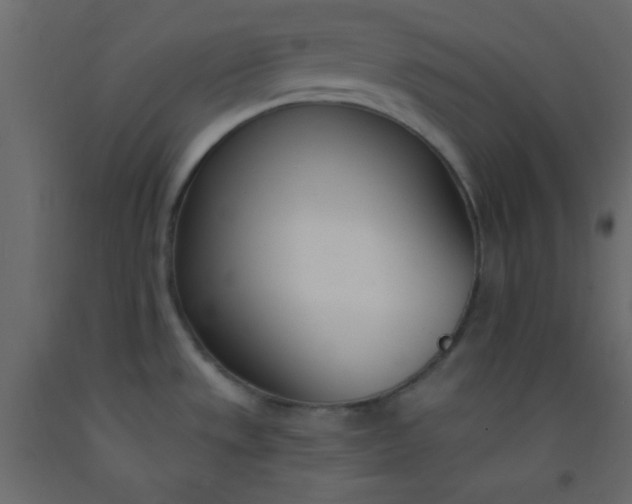 X0000093091533200710101506