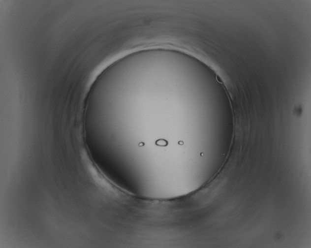 X0000093091534200710101506