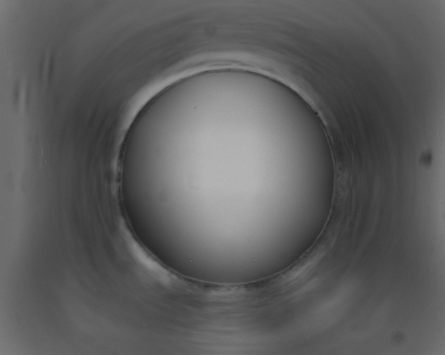 X0000093091535200710101506