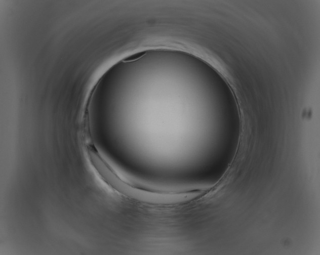 X0000093091536200710101506