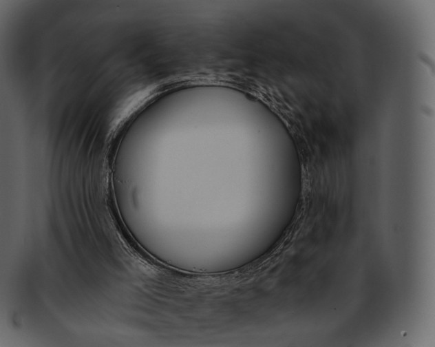 X0000093090005200710171148