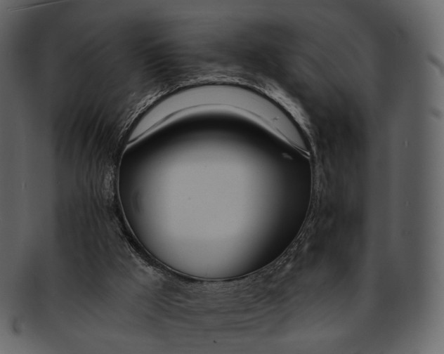 X0000093090009200710171148