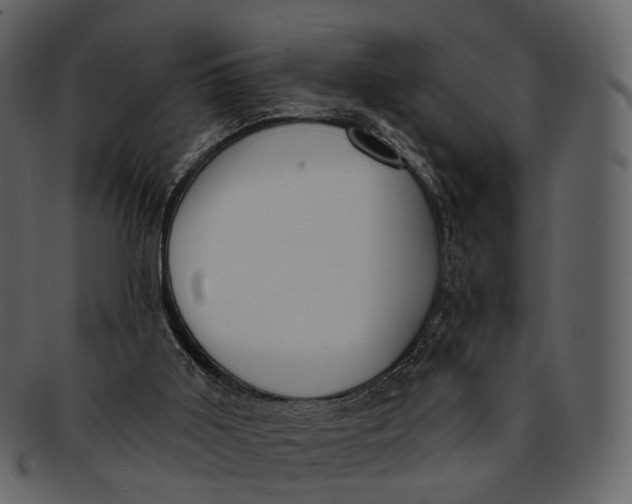 X0000093090011200710171148