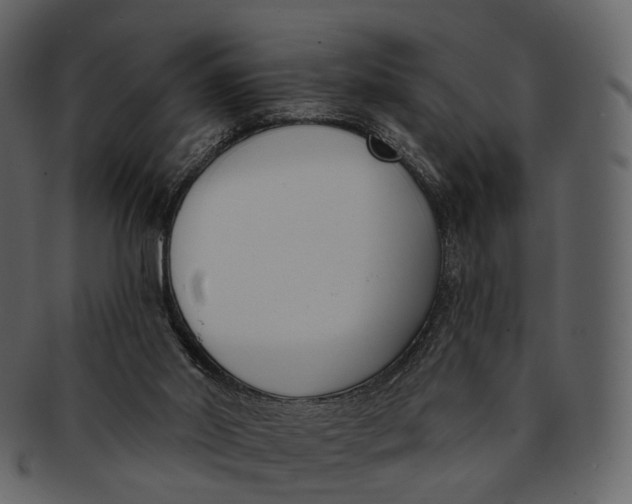 X0000093090014200710171148