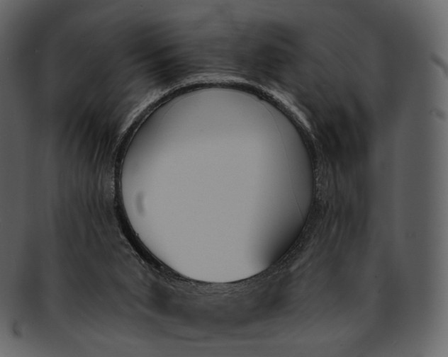 X0000093090015200710171148