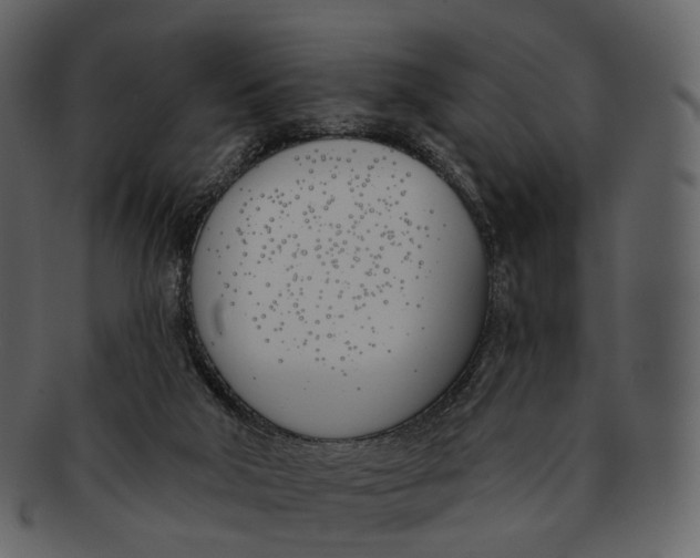 X0000093090018200710171148