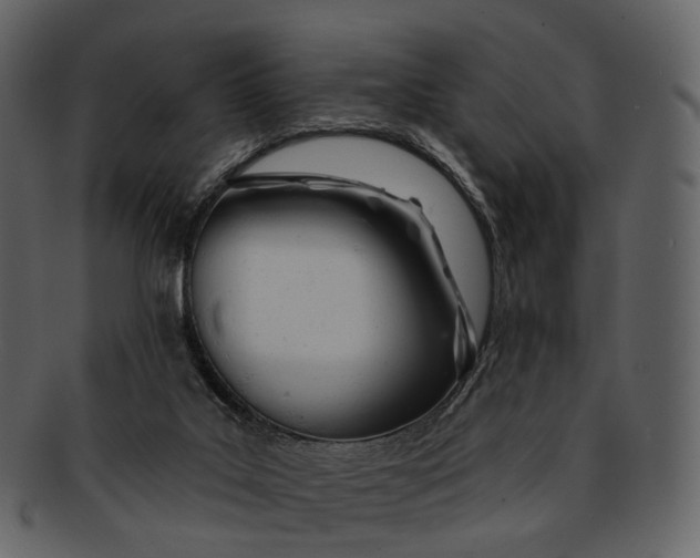 X0000093090019200710171148