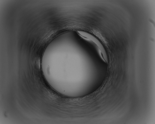 X0000093090021200710171148