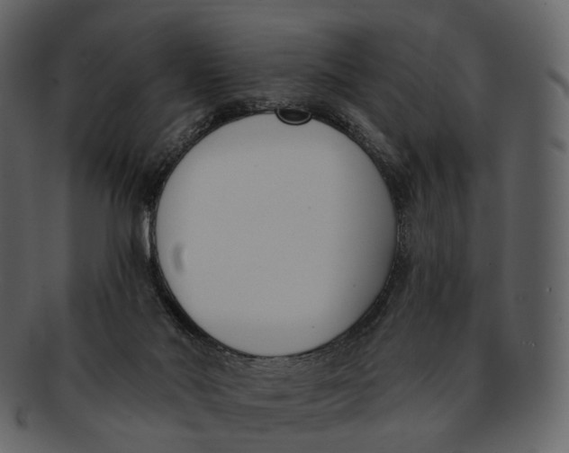 X0000093090022200710171148