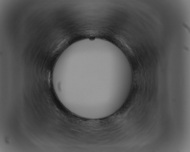 X0000093090024200710171148