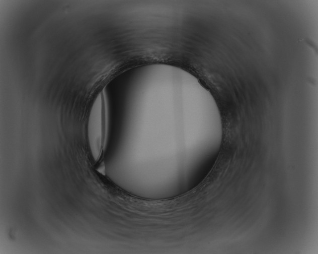 X0000093090027200710171148