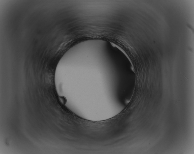 X0000093090035200710171148