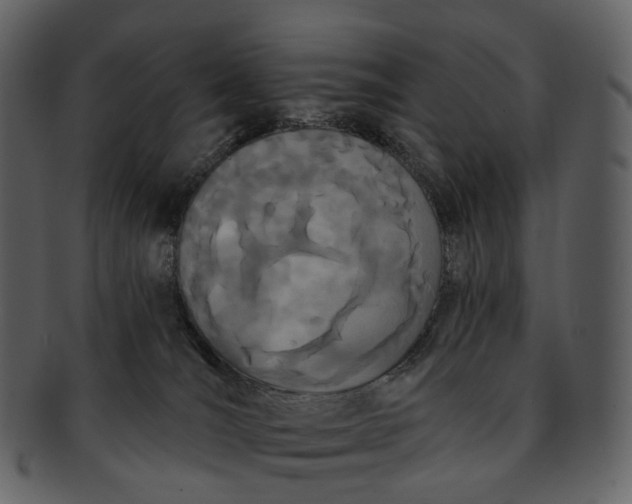 X0000093090036200710171148