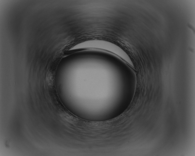 X0000093090037200710171148