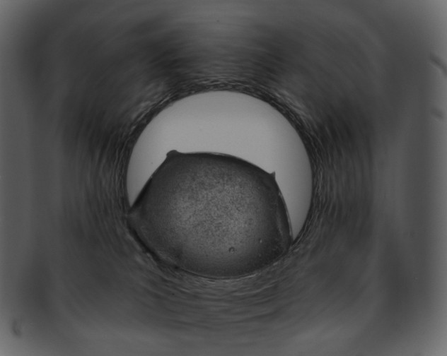 X0000093090039200710171148