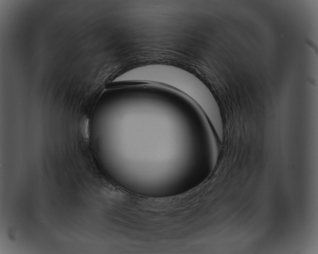 X0000093090041200710171148