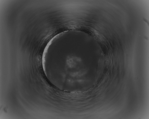 X0000093090043200710171148