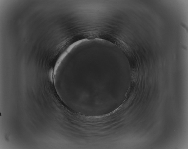 X0000093090047200710171148
