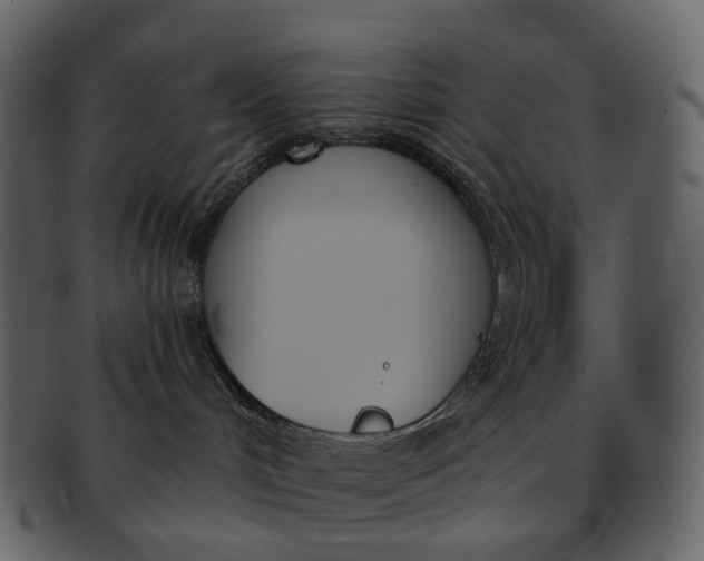 X0000093090048200710171148