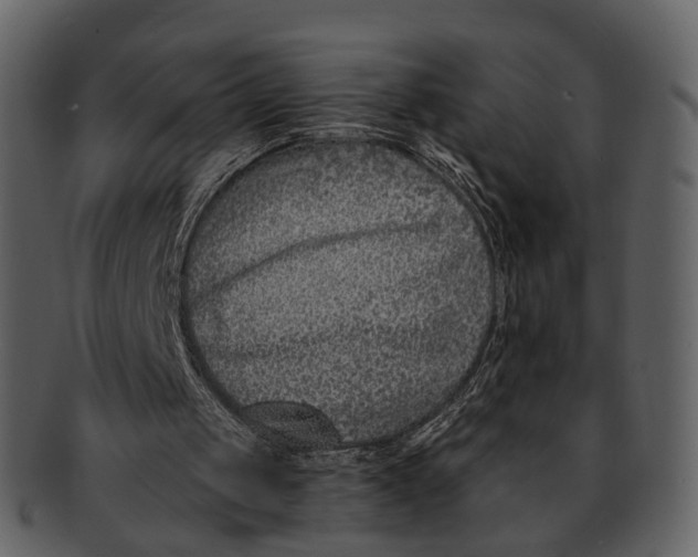 X0000093090049200710171147