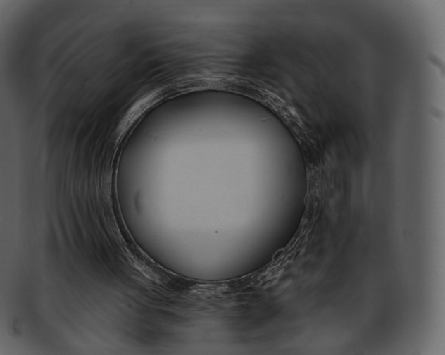 X0000093090051200710171147