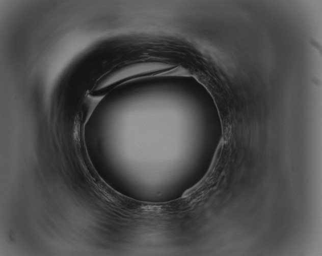 X0000093090052200710171147
