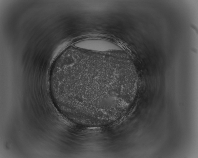 X0000093090053200710171147
