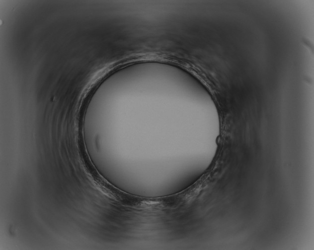 X0000093090055200710171147