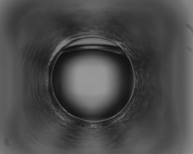 X0000093090056200710171147