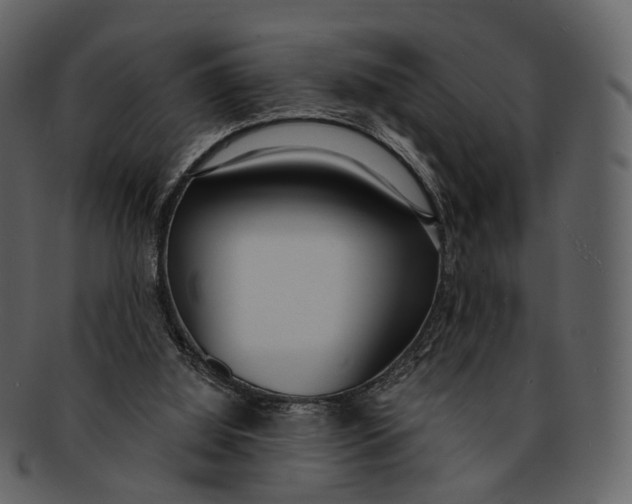 X0000093090060200710171147