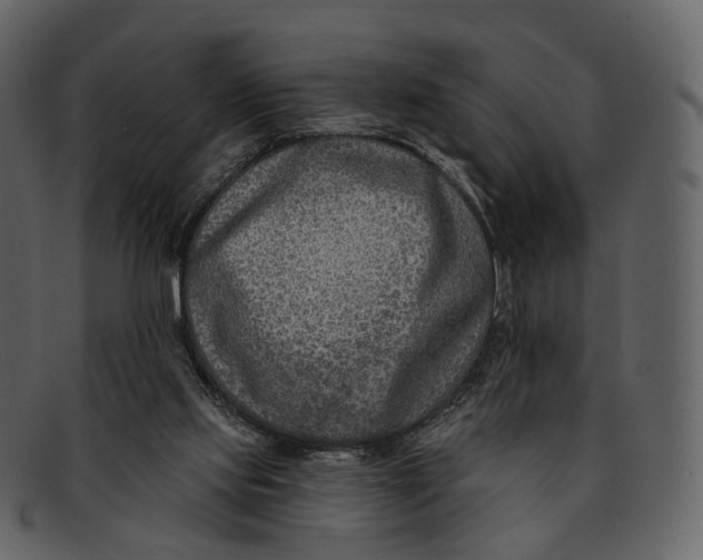 X0000093090061200710171147