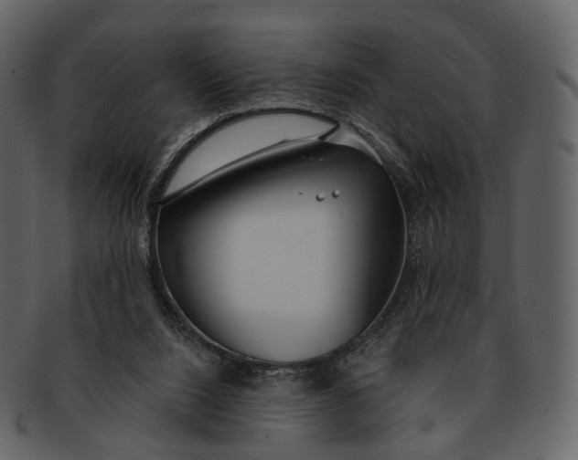 X0000093090064200710171147