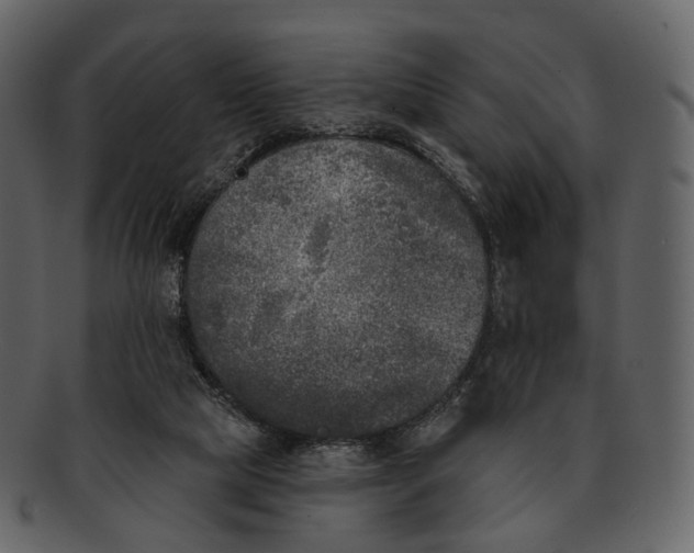 X0000093090065200710171147