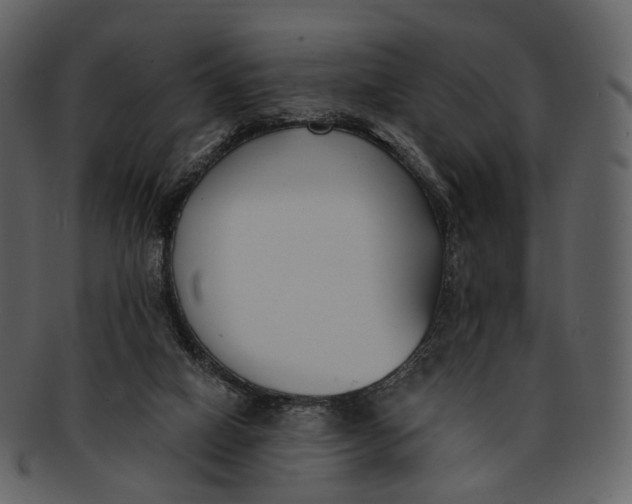 X0000093090066200710171147