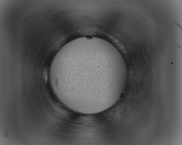 X0000093090069200710171147