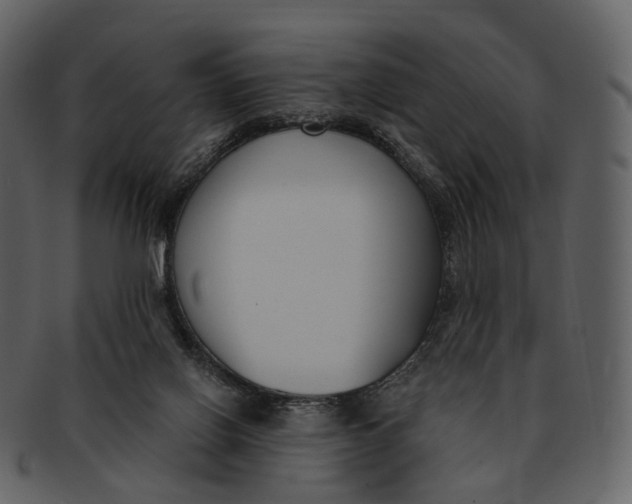 X0000093090070200710171147