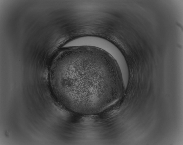 X0000093090072200710171147