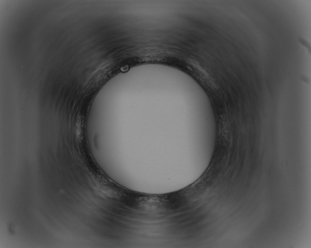 X0000093090074200710171147