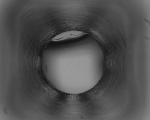 X0000093090077200710171147